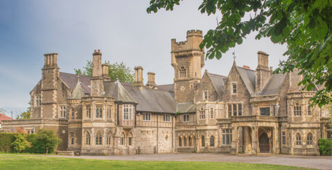 insole_court